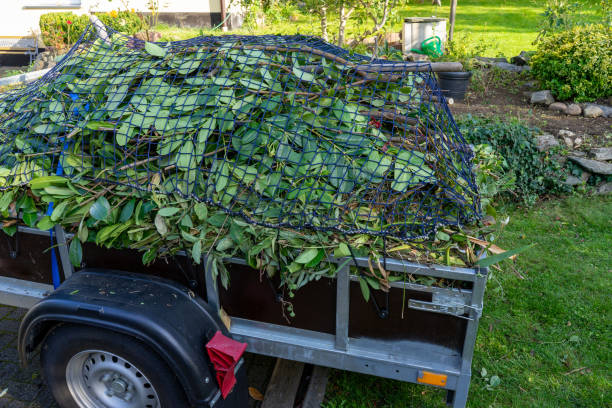 Best Recycling Services for Junk  in Royal Palm Beach, FL